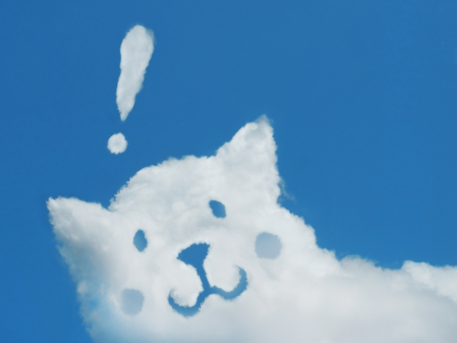 cloud-dog-inspiration.png