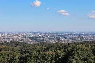 相模原の住みやすさは？利便性・治安・環境や口コミも確認！の画像