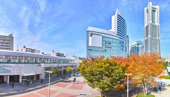 桜木町駅周辺の住みやすさは？魅力や治安・環境と口コミもチェックの画像