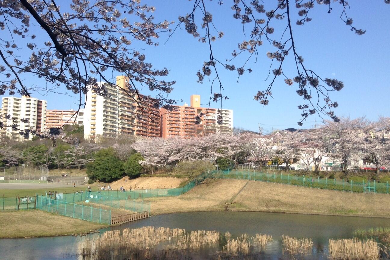 若葉台風景.JPG