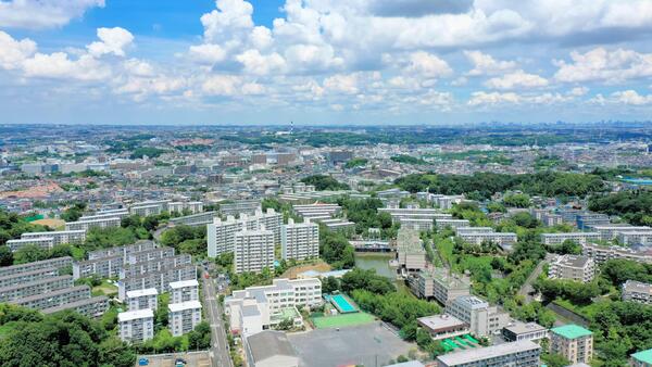 5月竹山.JPG