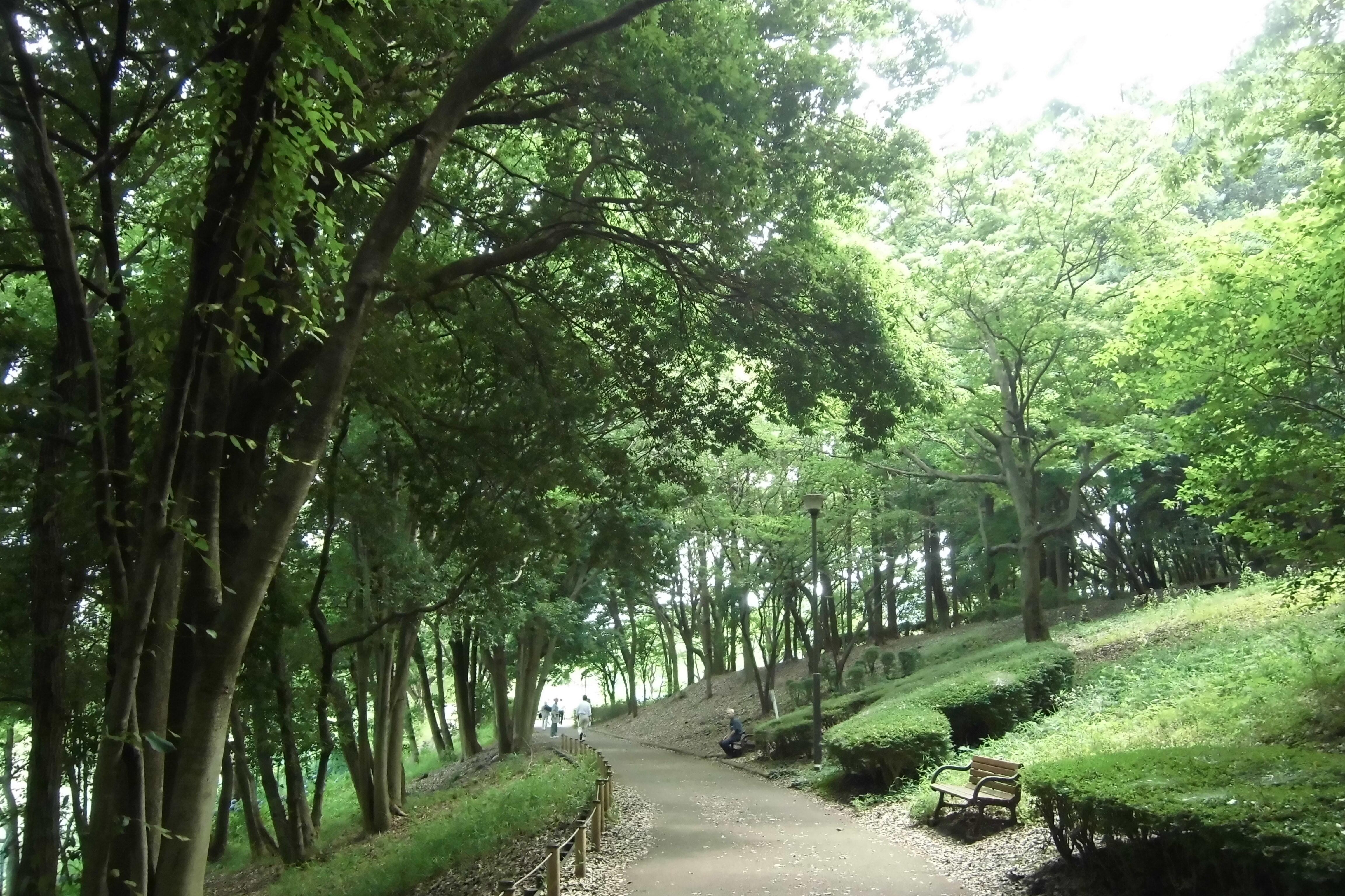 若葉台公園2.JPG