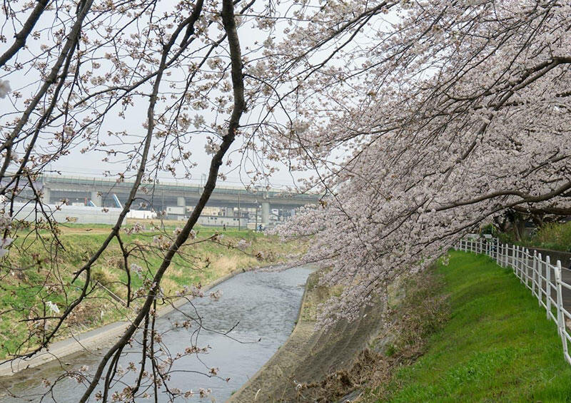 湘南台駅周辺の住みやすさは？魅力や治安・環境と口コミもチェックの画像