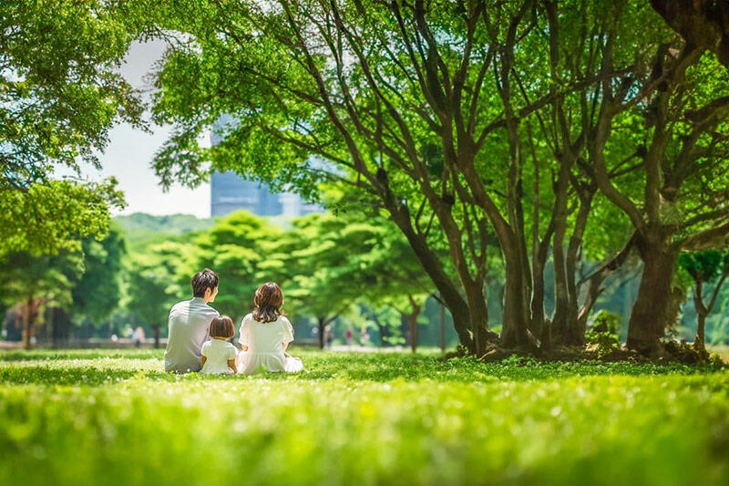 Family-in-the-park.jpg