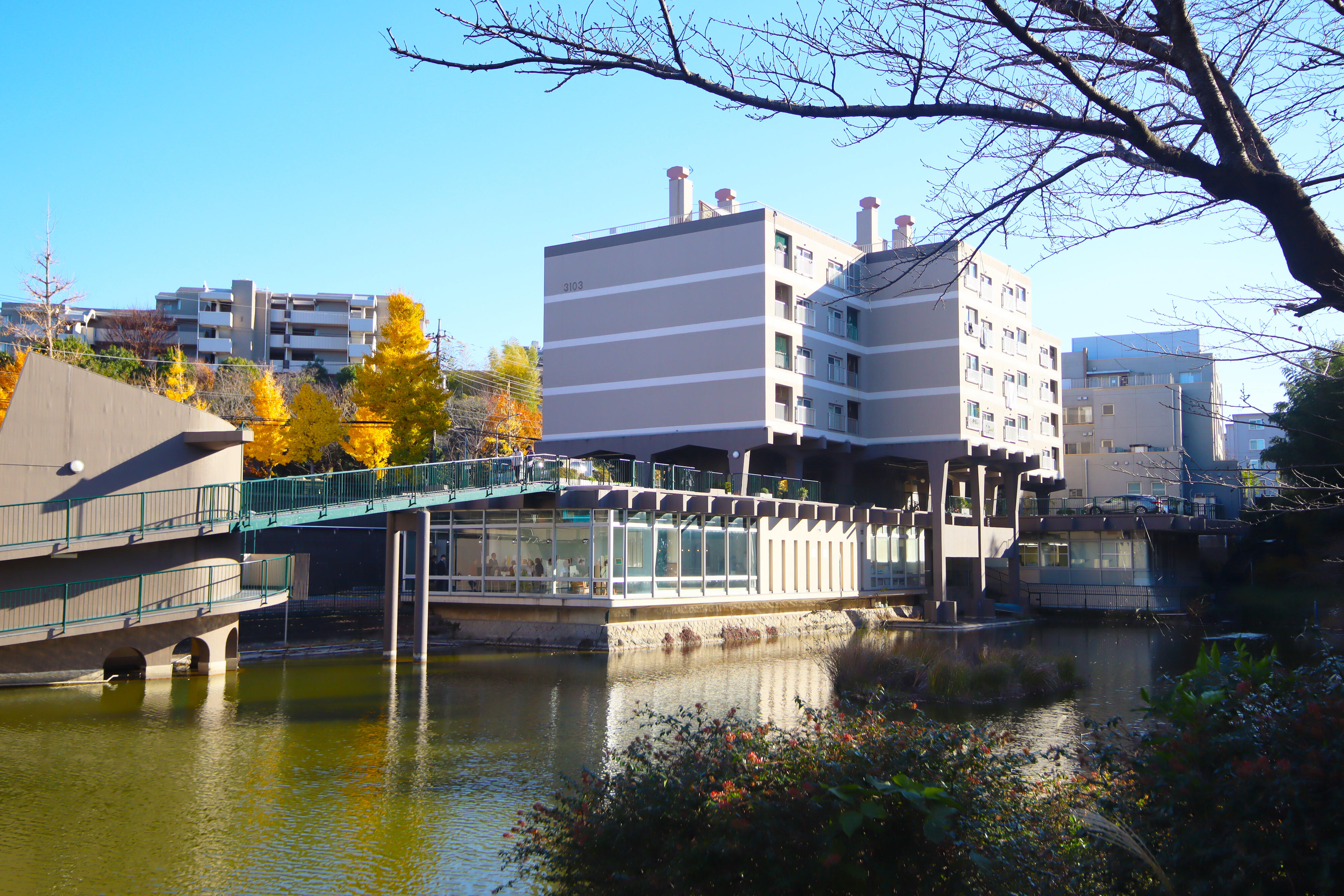 https://www.kousha-chintai.com/blog/img/IMG_4913.JPG