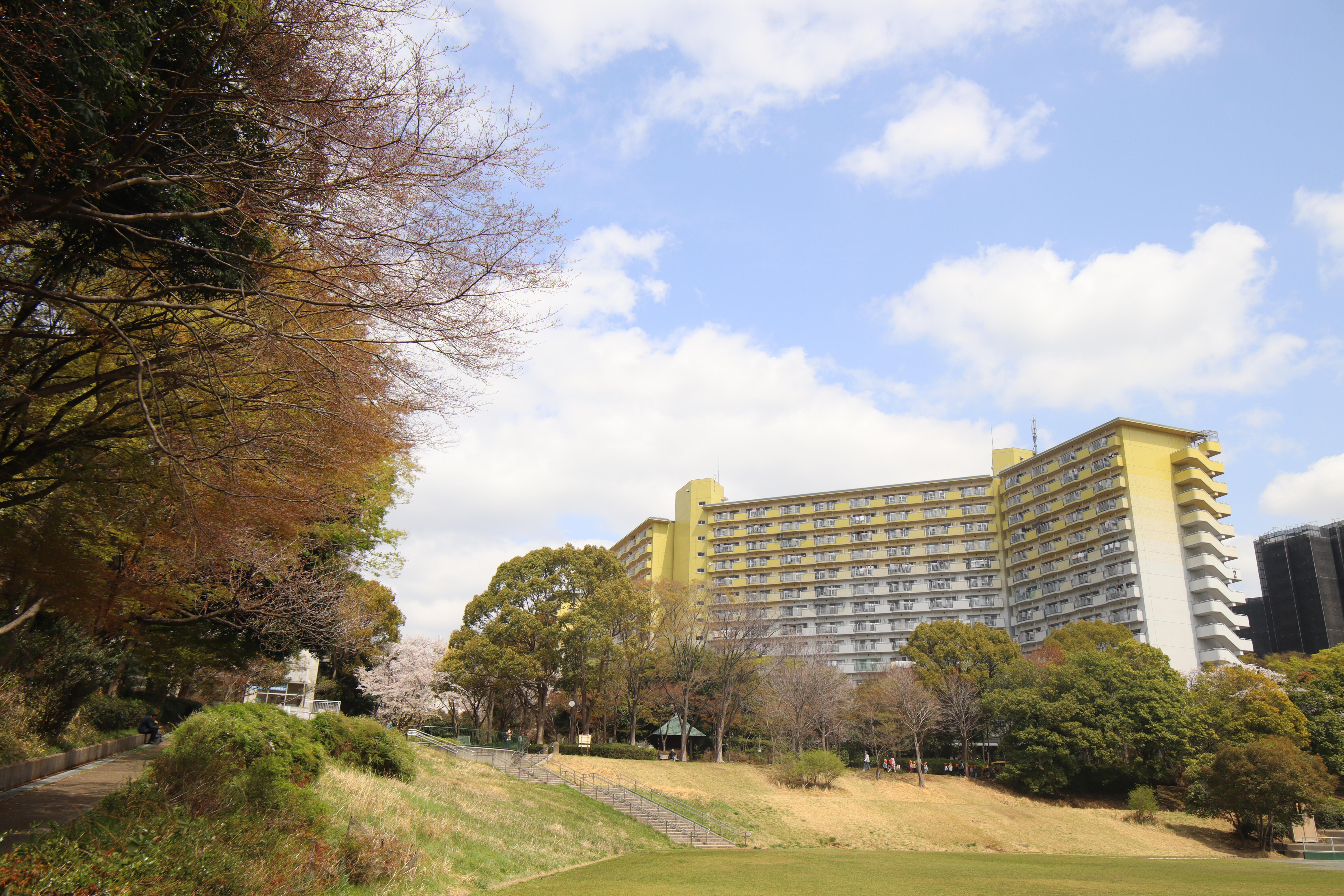 若葉台の風景.JPG