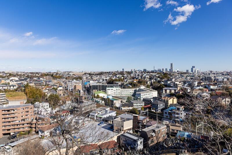 aerial_japanese_city_skyline_view.jpg