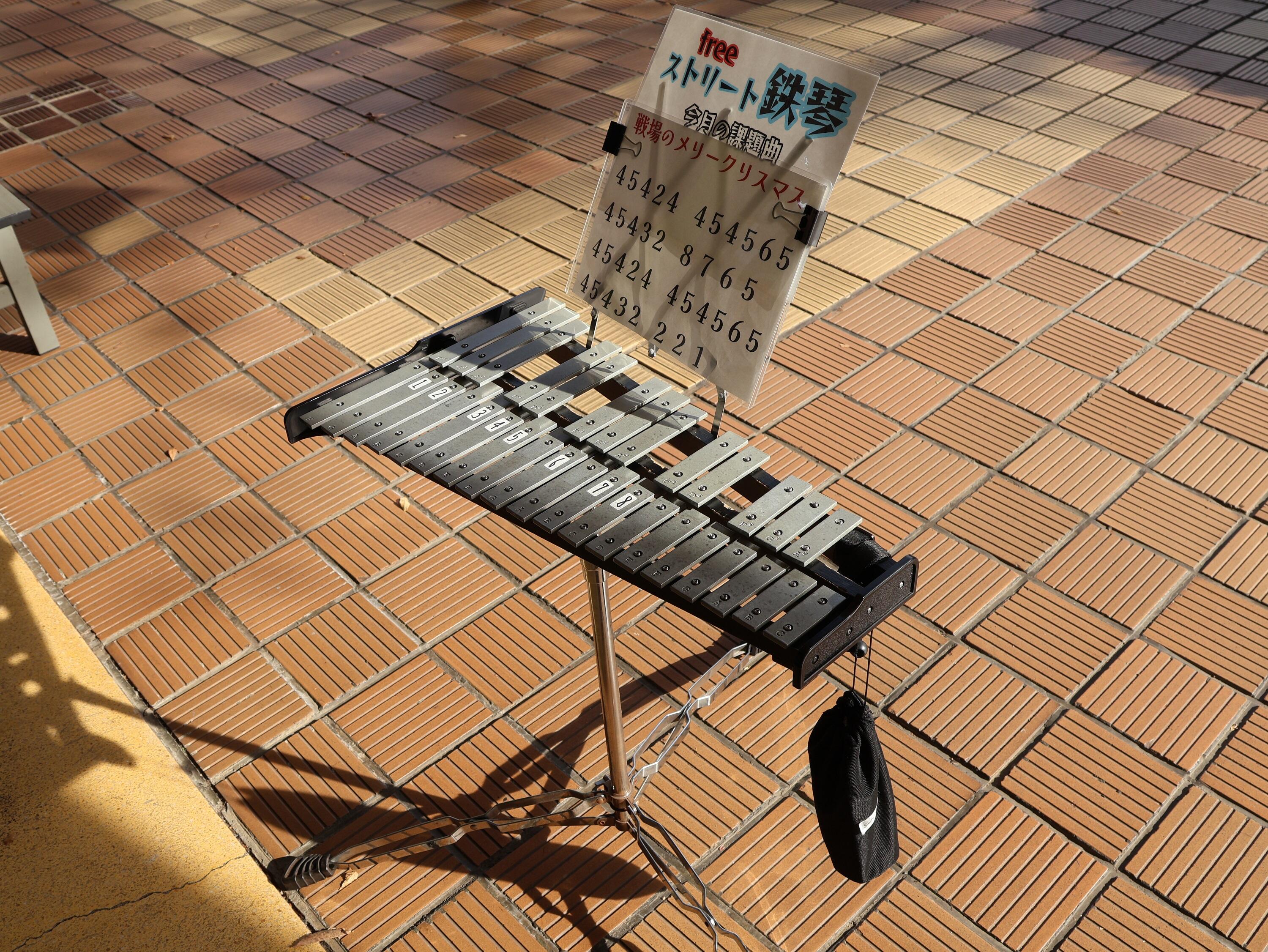 はなとみ (6).JPG