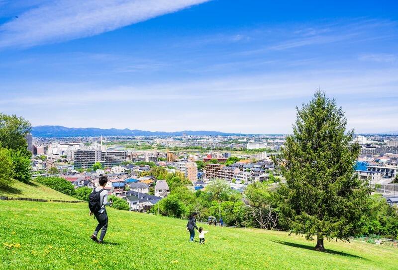 hilltop_city_view_green_park.jpg