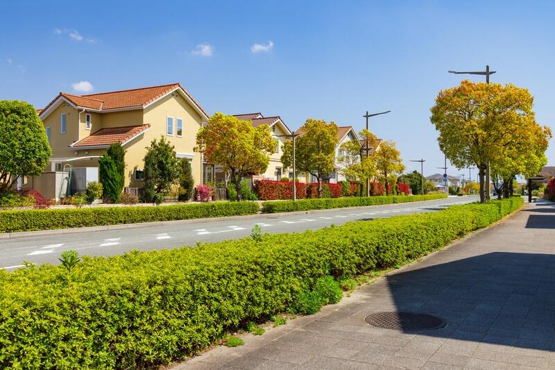 suburban_street_houses_hedges.jpeg