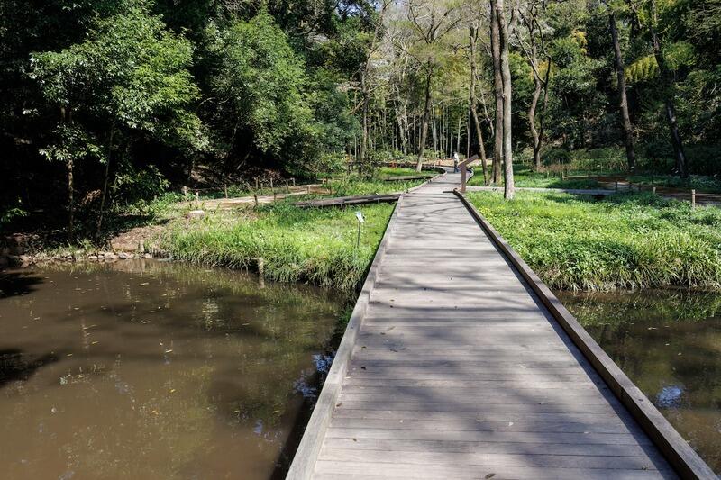 wooden_boardwalk_over_pond.jpg