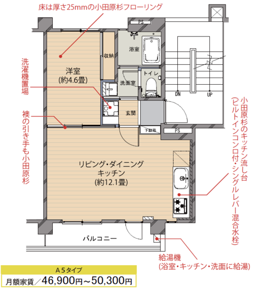 ninomiya_1ldk-a5.png